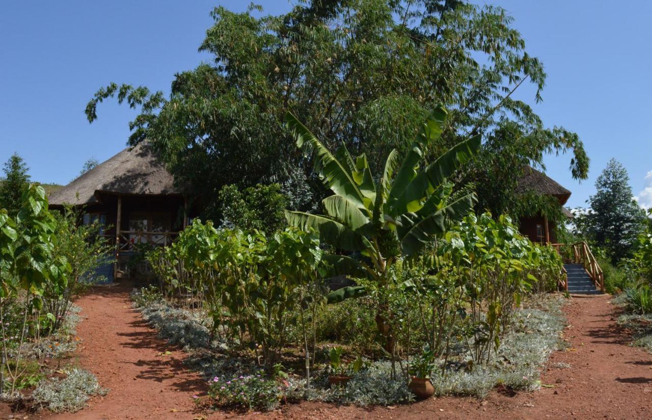 Rutete Eco Lodge Rwinkwavu Exterior foto
