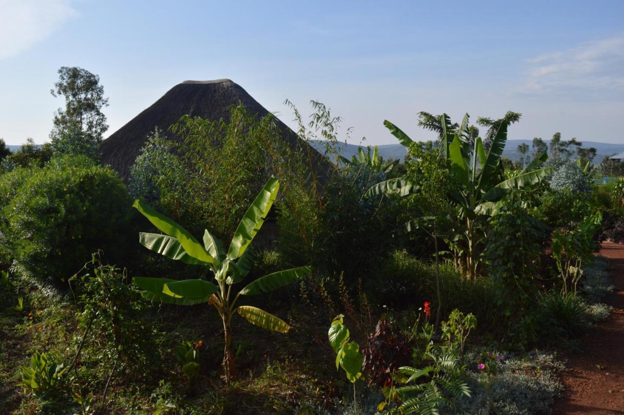 Rutete Eco Lodge Rwinkwavu Exterior foto