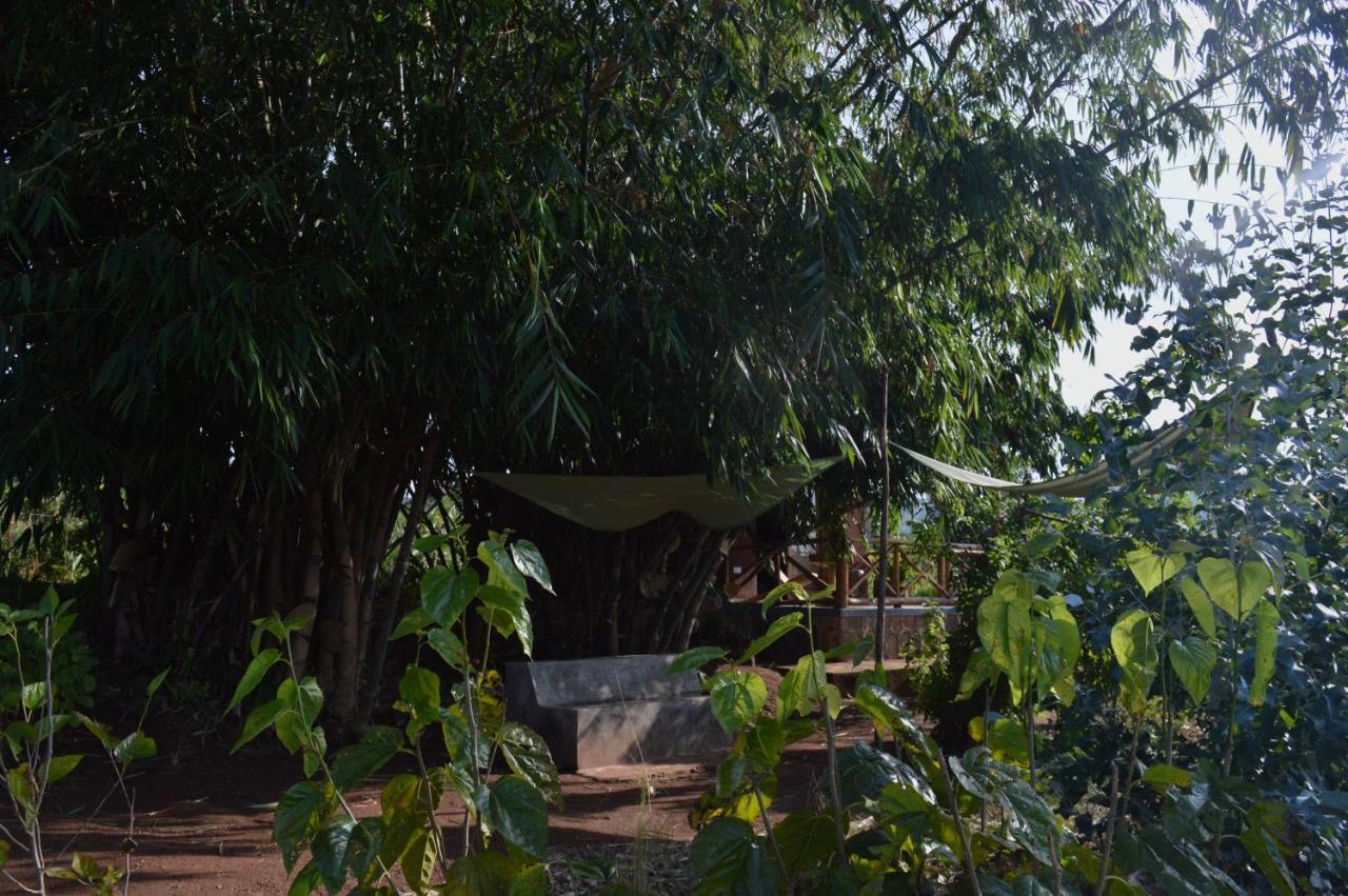 Rutete Eco Lodge Rwinkwavu Exterior foto