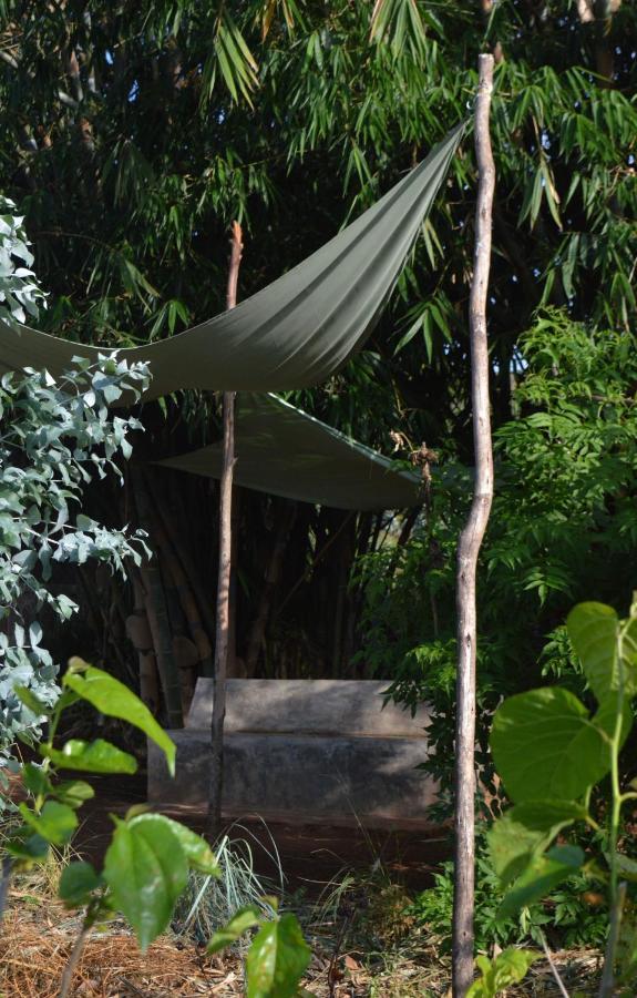 Rutete Eco Lodge Rwinkwavu Exterior foto