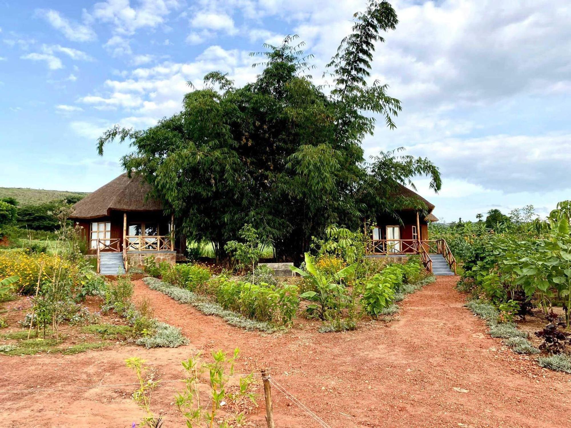 Rutete Eco Lodge Rwinkwavu Exterior foto